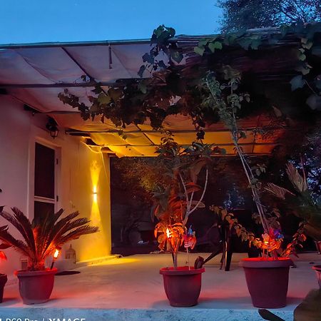 Corfu Oasis Studio Neochorakion المظهر الخارجي الصورة