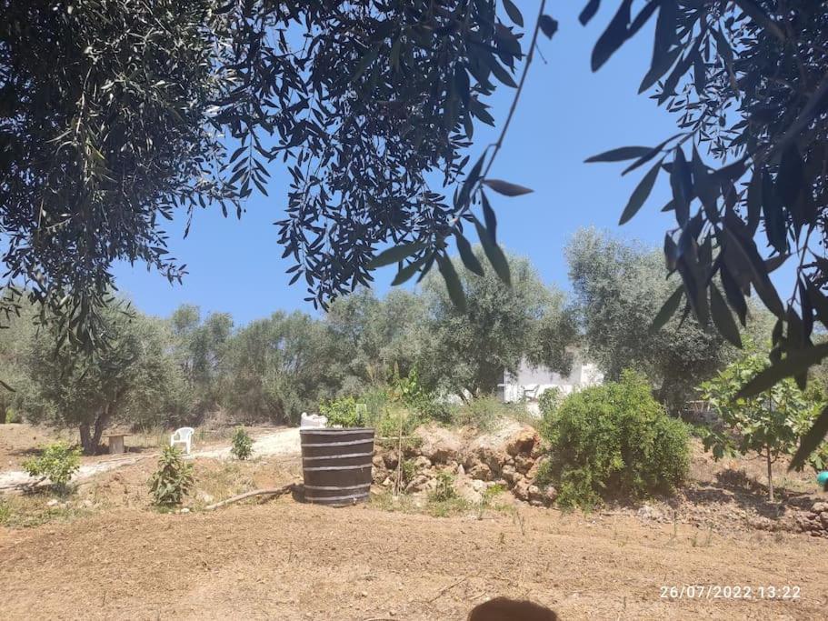 Corfu Oasis Studio Neochorakion المظهر الخارجي الصورة