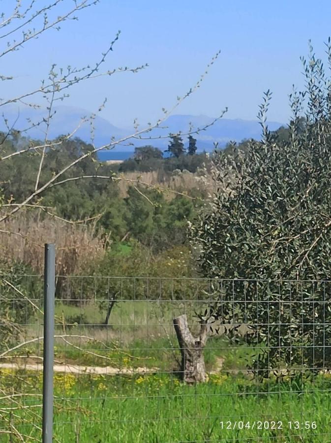 Corfu Oasis Studio Neochorakion المظهر الخارجي الصورة