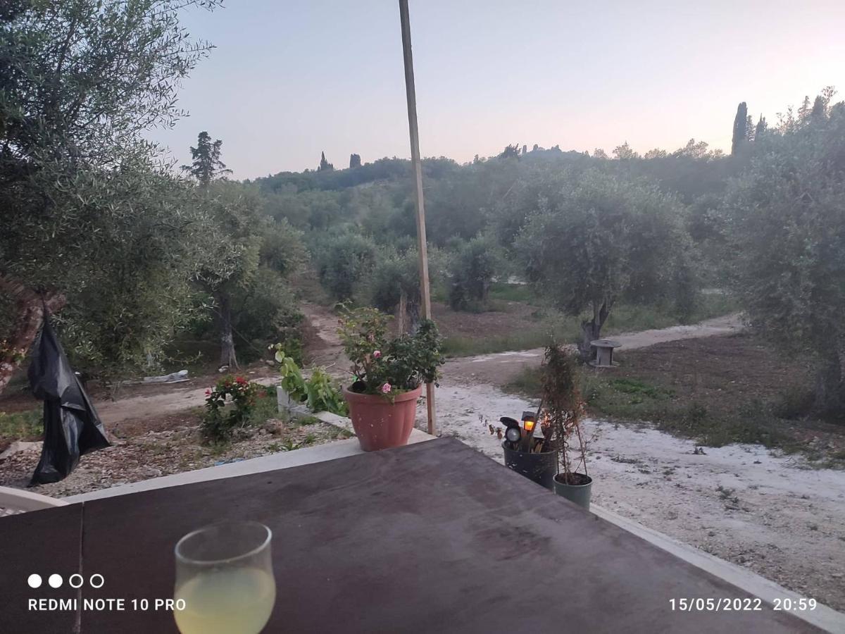 Corfu Oasis Studio Neochorakion المظهر الخارجي الصورة