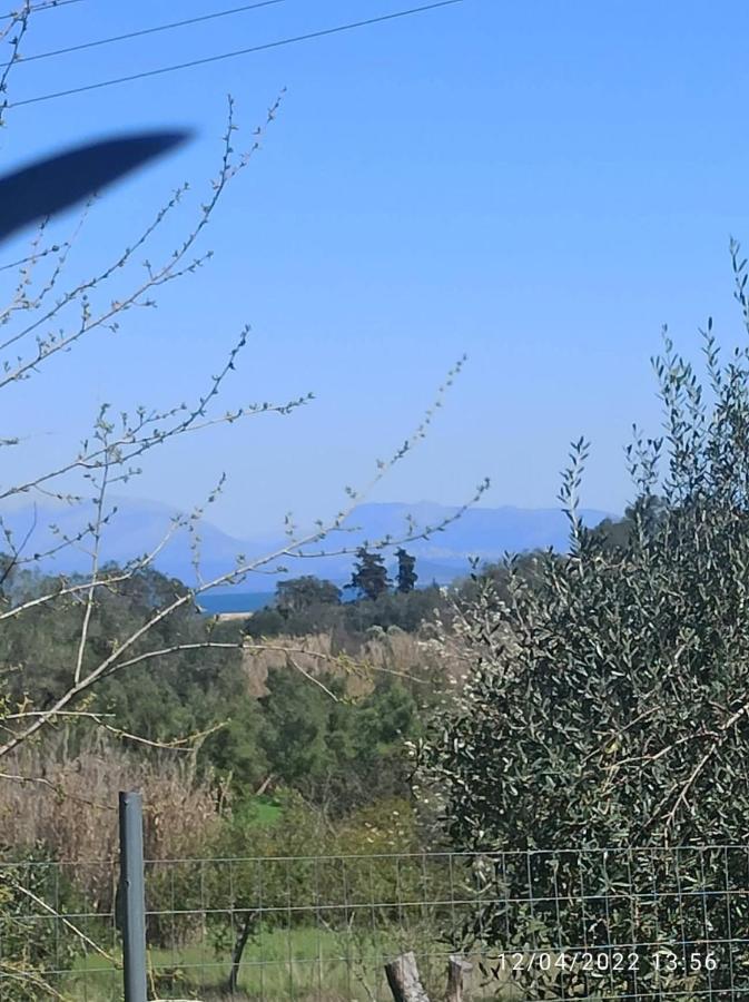 Corfu Oasis Studio Neochorakion المظهر الخارجي الصورة