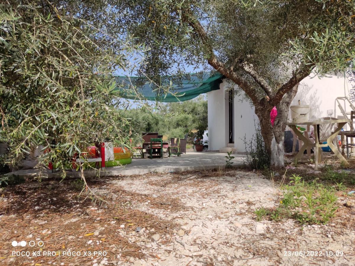 Corfu Oasis Studio Neochorakion المظهر الخارجي الصورة