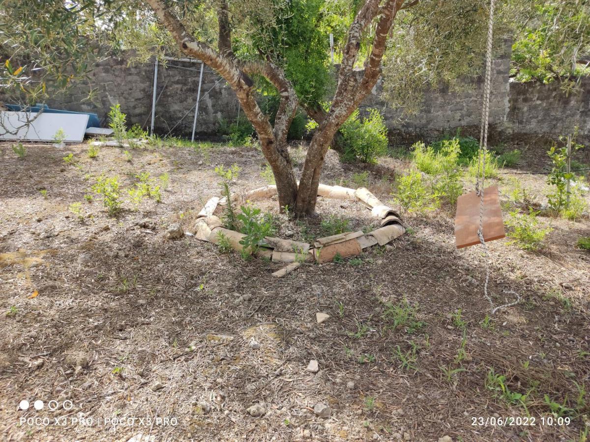 Corfu Oasis Studio Neochorakion المظهر الخارجي الصورة
