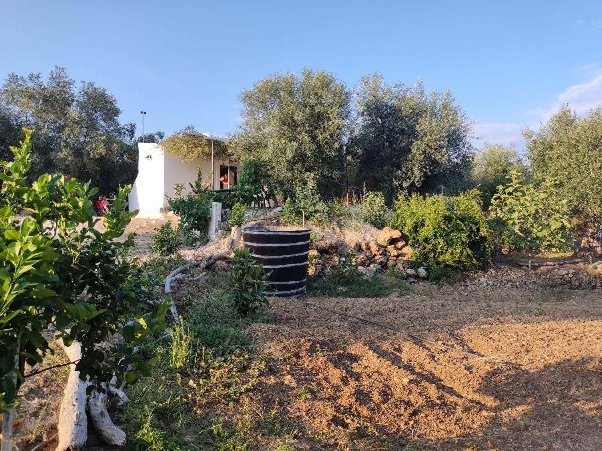 Corfu Oasis Studio Neochorakion المظهر الخارجي الصورة