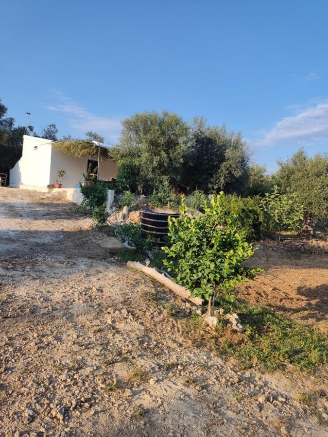 Corfu Oasis Studio Neochorakion المظهر الخارجي الصورة