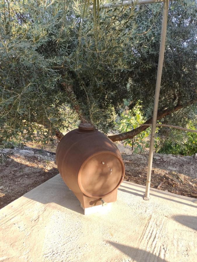 Corfu Oasis Studio Neochorakion المظهر الخارجي الصورة