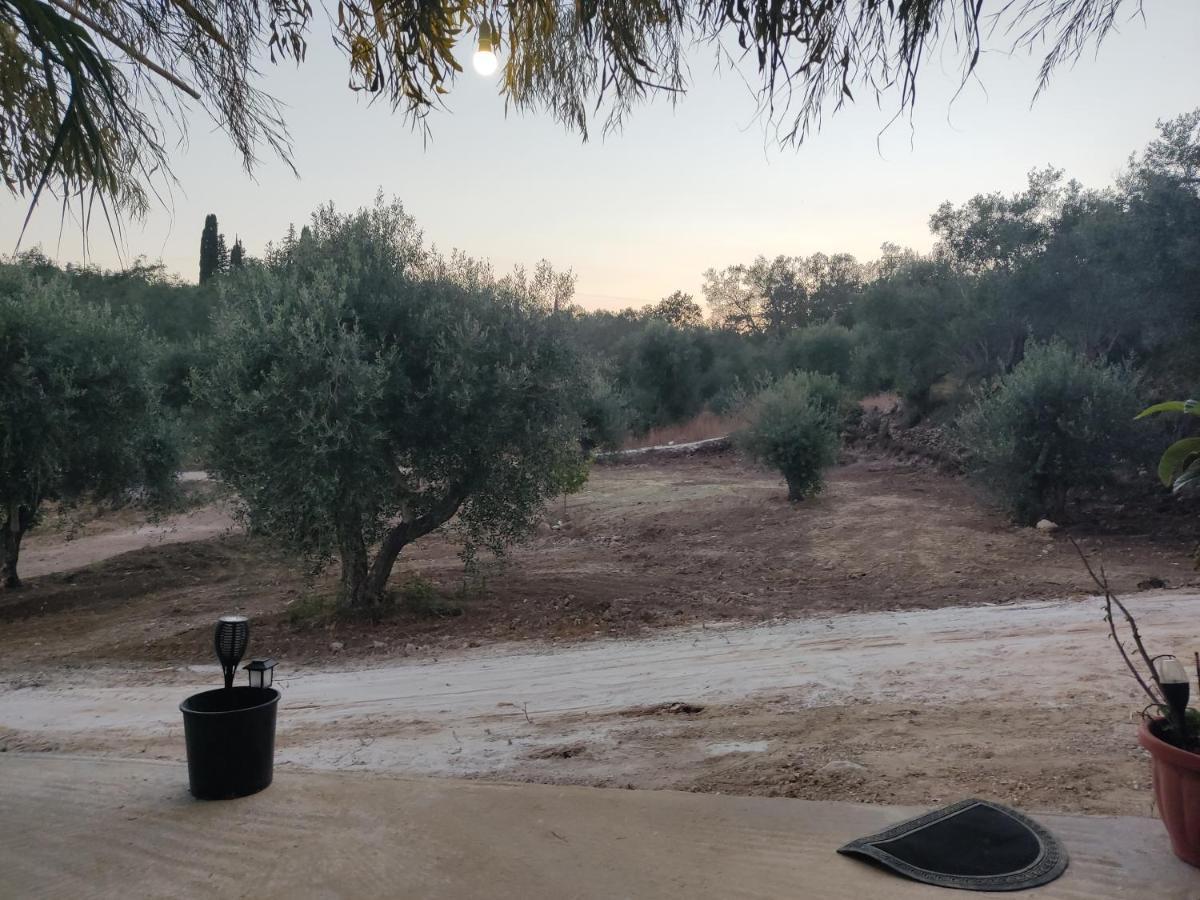Corfu Oasis Studio Neochorakion المظهر الخارجي الصورة