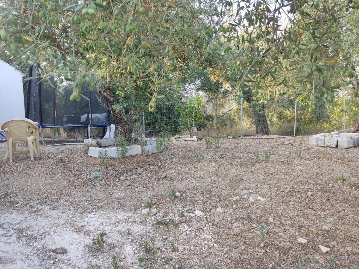 Corfu Oasis Studio Neochorakion المظهر الخارجي الصورة